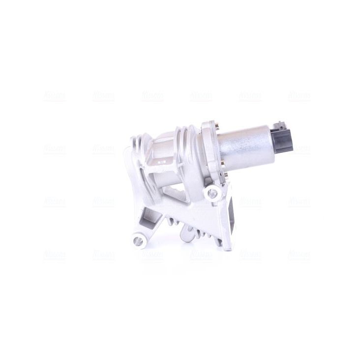 ERG vožtuvas NISSENS 98189