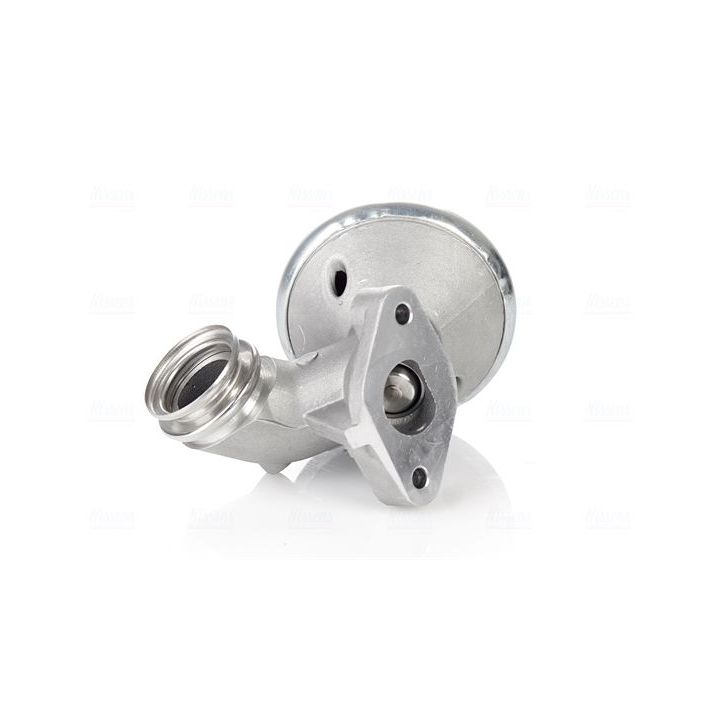 ERG vožtuvas NISSENS 98228