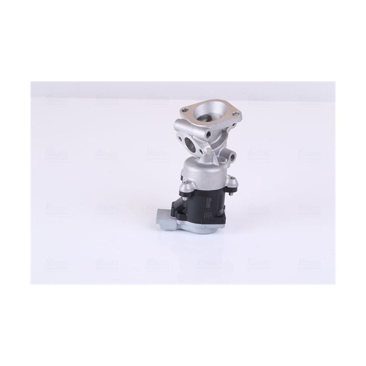 ERG vožtuvas NISSENS 98237