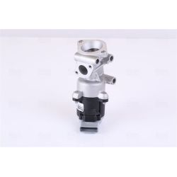 ERG vožtuvas NISSENS 98240