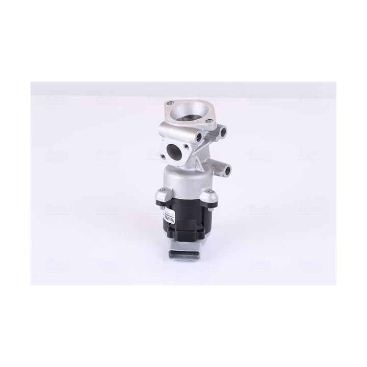 ERG vožtuvas NISSENS 98240