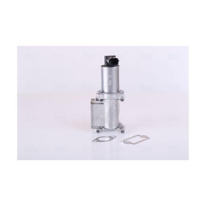 ERG vožtuvas NISSENS 98305