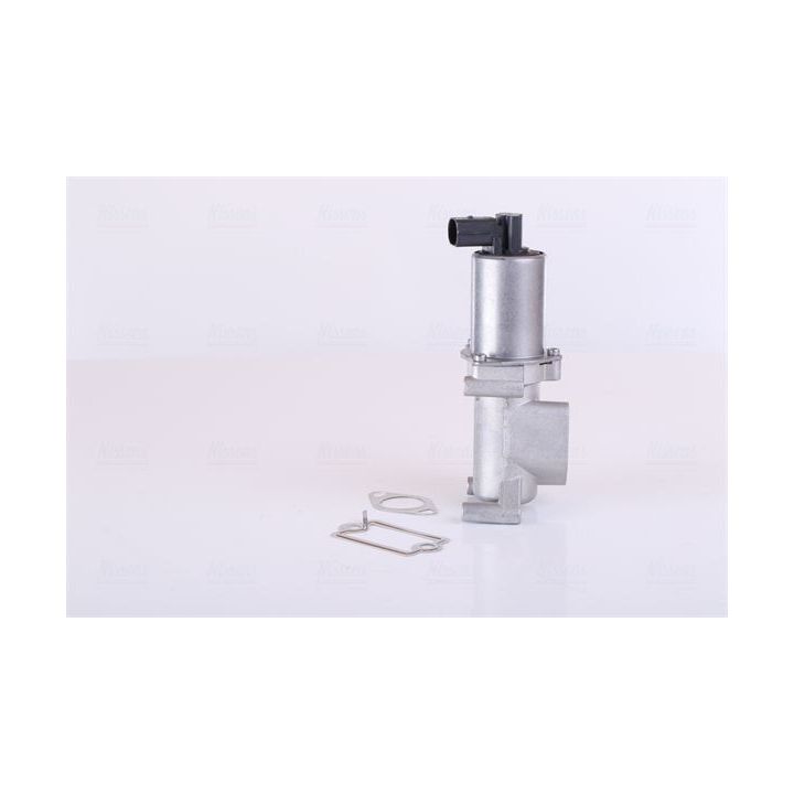 ERG vožtuvas NISSENS 98305