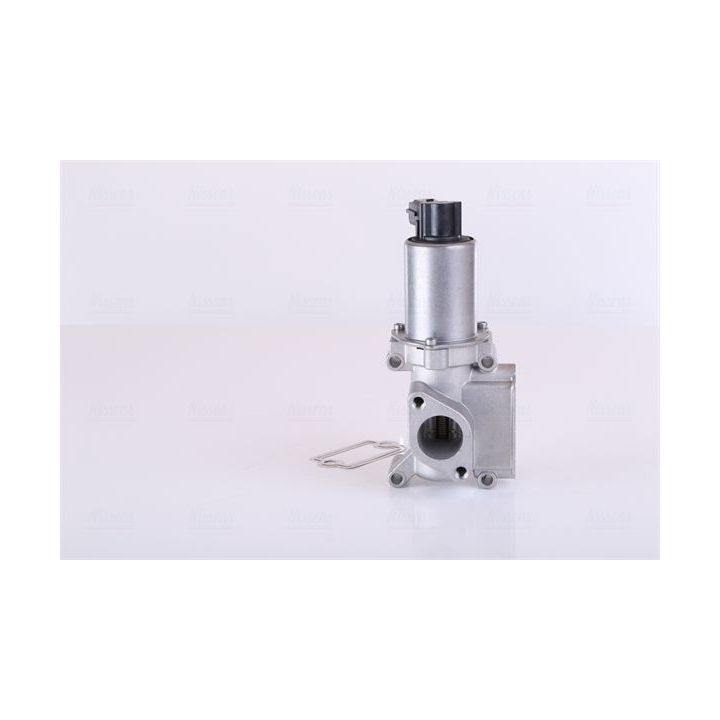 ERG vožtuvas NISSENS 98305