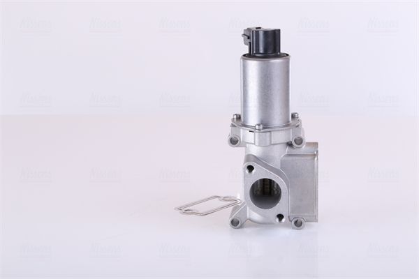 ERG vožtuvas NISSENS 98305