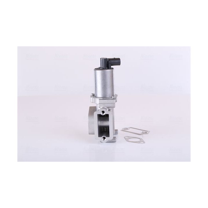 ERG vožtuvas NISSENS 98305