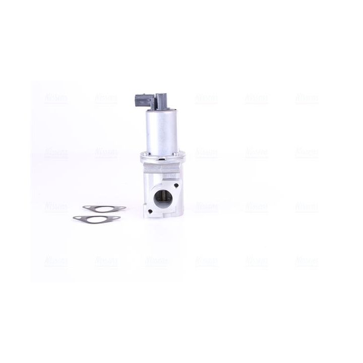 ERG vožtuvas NISSENS 98306