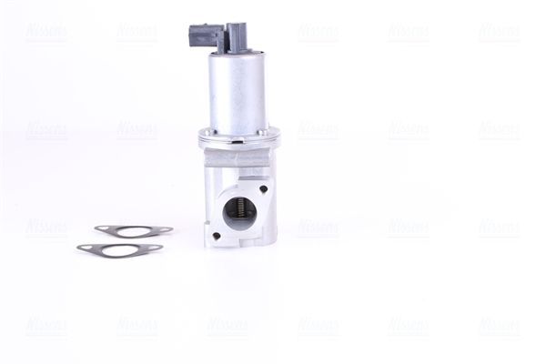 ERG vožtuvas NISSENS 98306