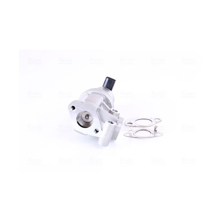 ERG vožtuvas NISSENS 98307