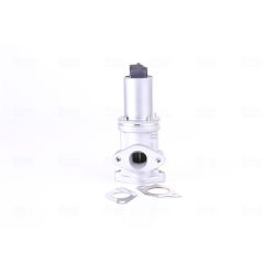 ERG vožtuvas NISSENS 98308