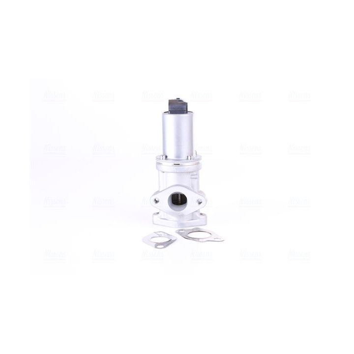 ERG vožtuvas NISSENS 98308