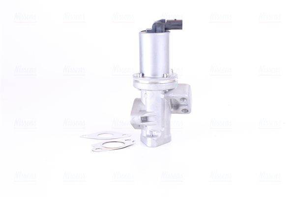 ERG vožtuvas NISSENS 98308