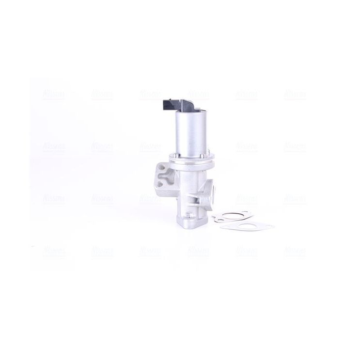 ERG vožtuvas NISSENS 98308