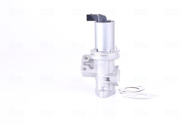 ERG vožtuvas NISSENS 98308