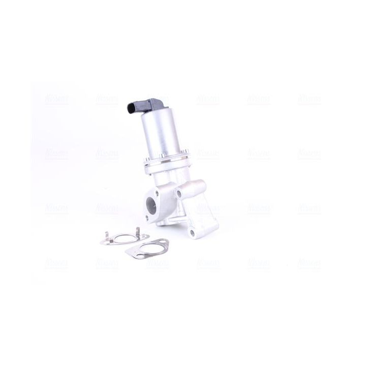 ERG vožtuvas NISSENS 98311