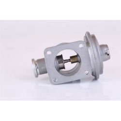 ERG vožtuvas NISSENS 98353