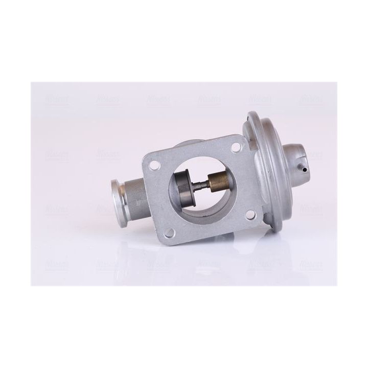 ERG vožtuvas NISSENS 98353