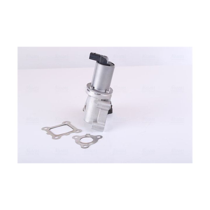 ERG vožtuvas NISSENS 98355