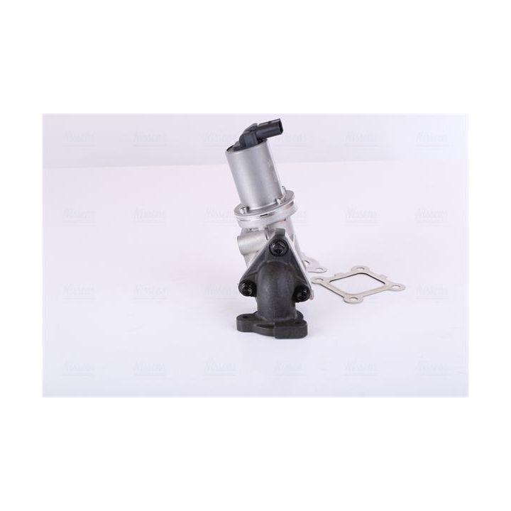 ERG vožtuvas NISSENS 98355