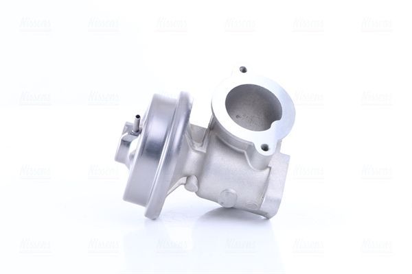 ERG vožtuvas NISSENS 98433