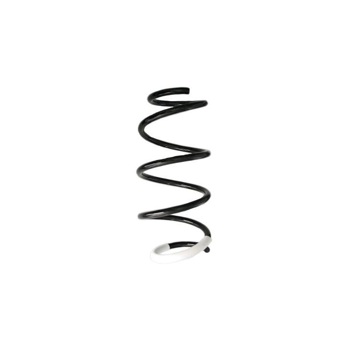 Spyruoklė SPIDAN GKNW10045