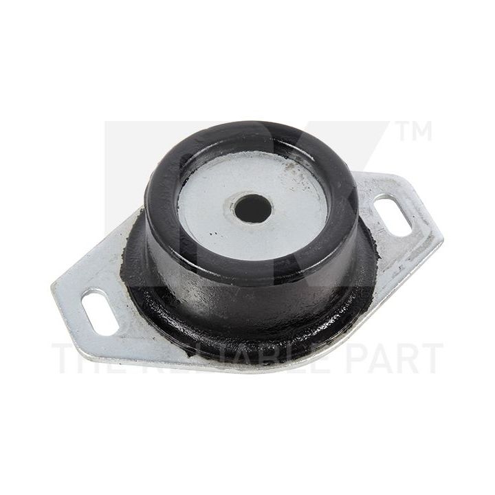 Variklio montavimas NK 59719004