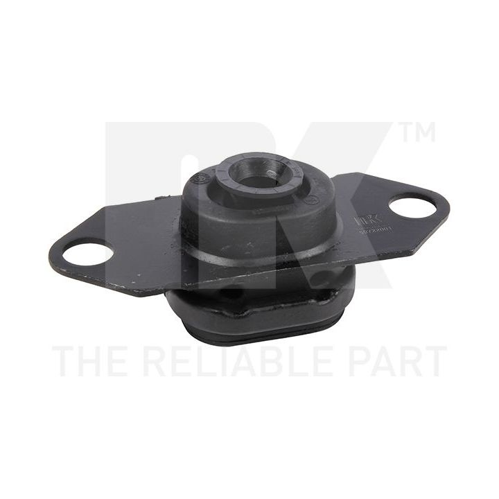 Variklio montavimas NK 59722001