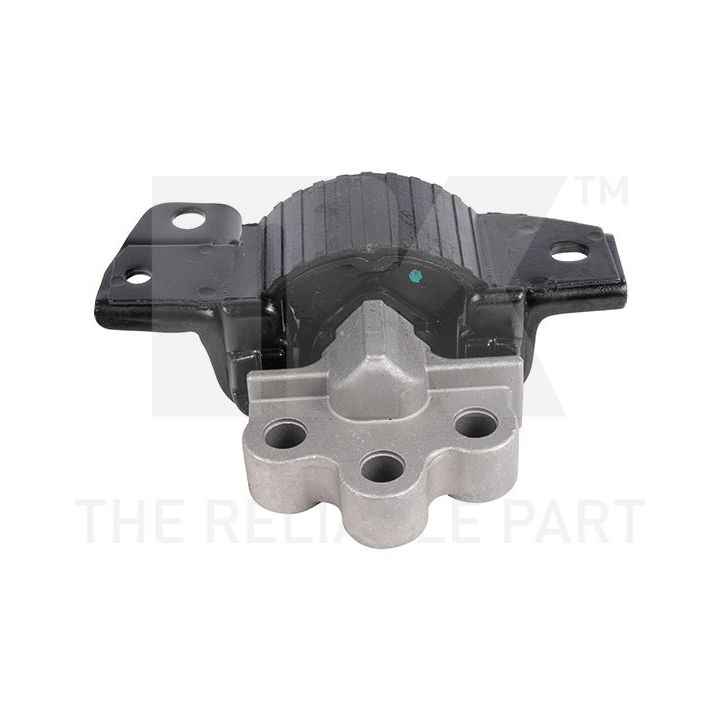 Variklio montavimas NK 59723006