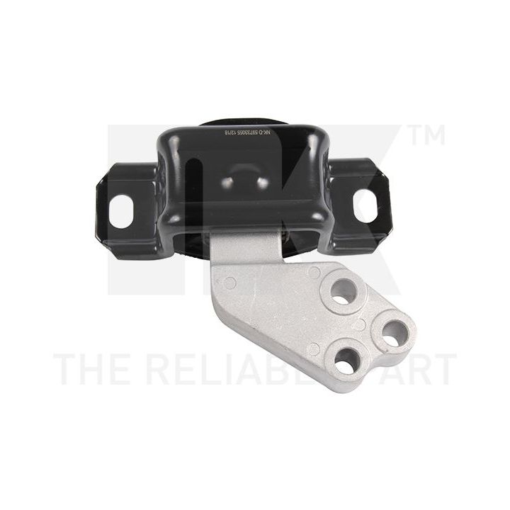 Variklio montavimas NK 59733055