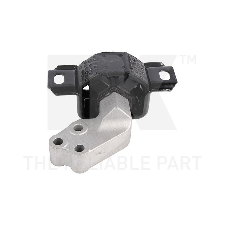 Variklio montavimas NK 59733055