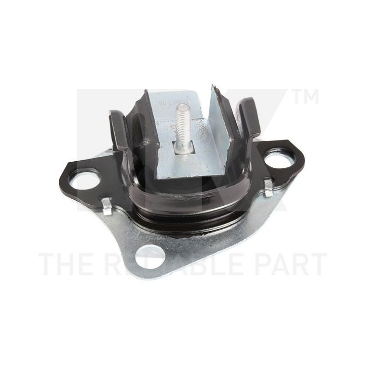 Variklio montavimas NK 59739028