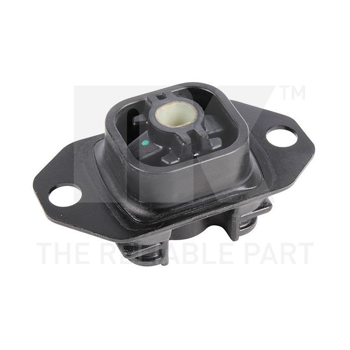 Variklio montavimas NK 59739042