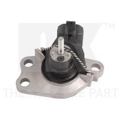 Variklio montavimas NK 59739054