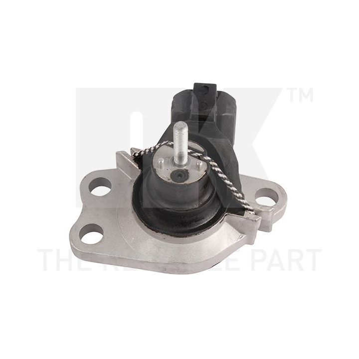 Variklio montavimas NK 59739054