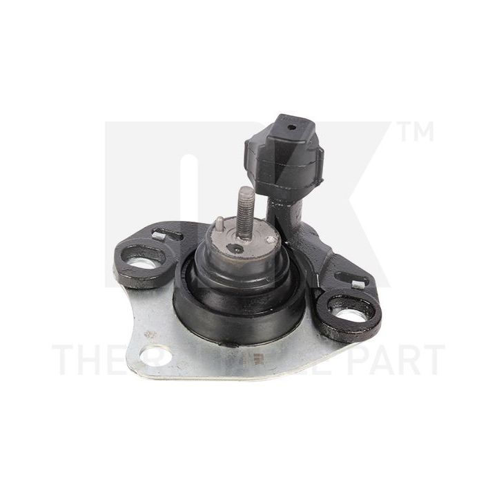 Variklio montavimas NK 59739062