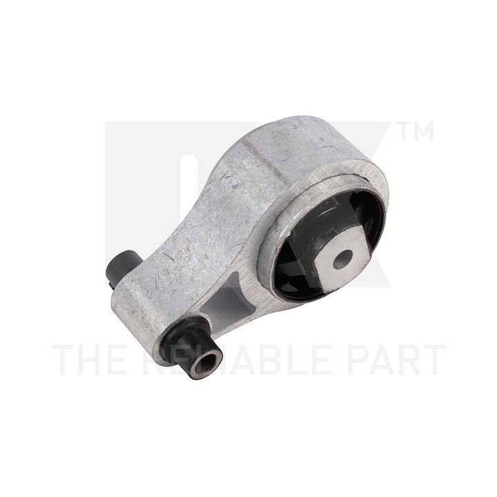 Variklio montavimas NK 59739064