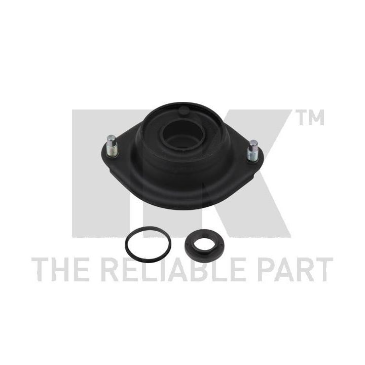 Pakabos statramsčio atraminis guolis NK 673205