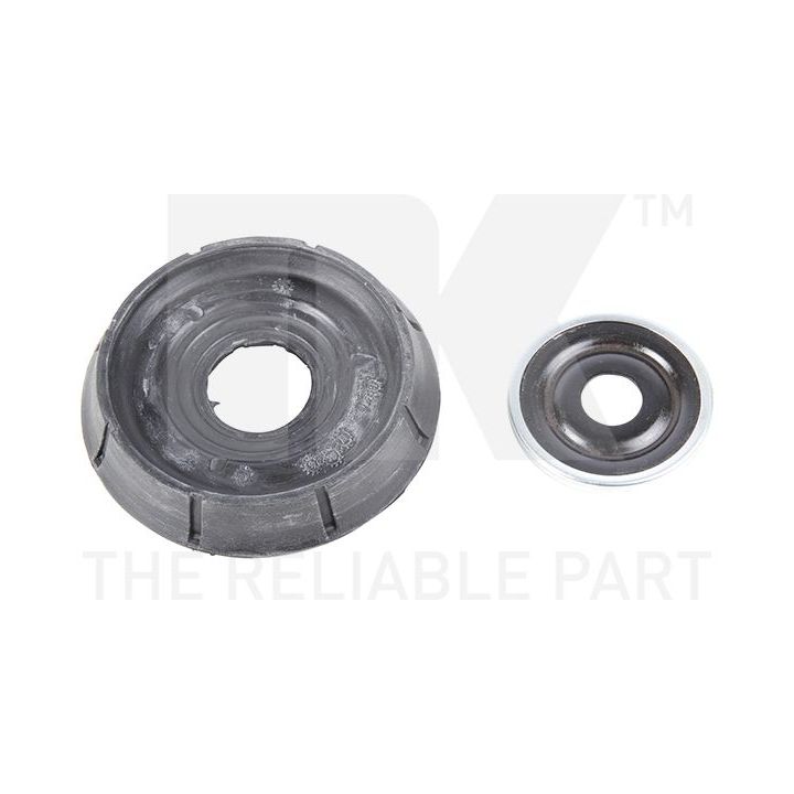 Pakabos statramsčio atraminis guolis NK 673901