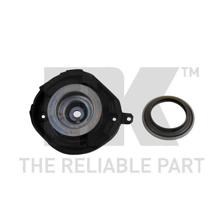 Pakabos statramsčio atraminis guolis NK 673916