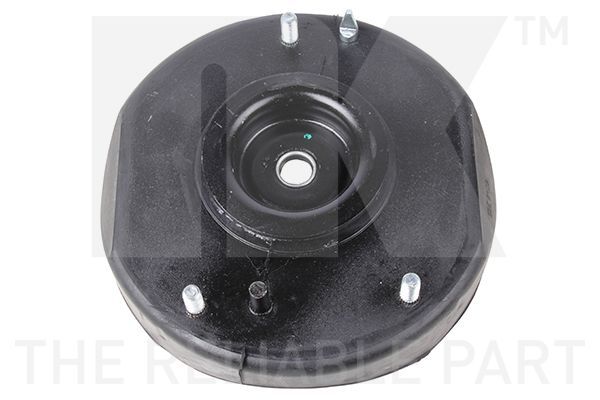 Pakabos statramsčio atraminis guolis NK 673919