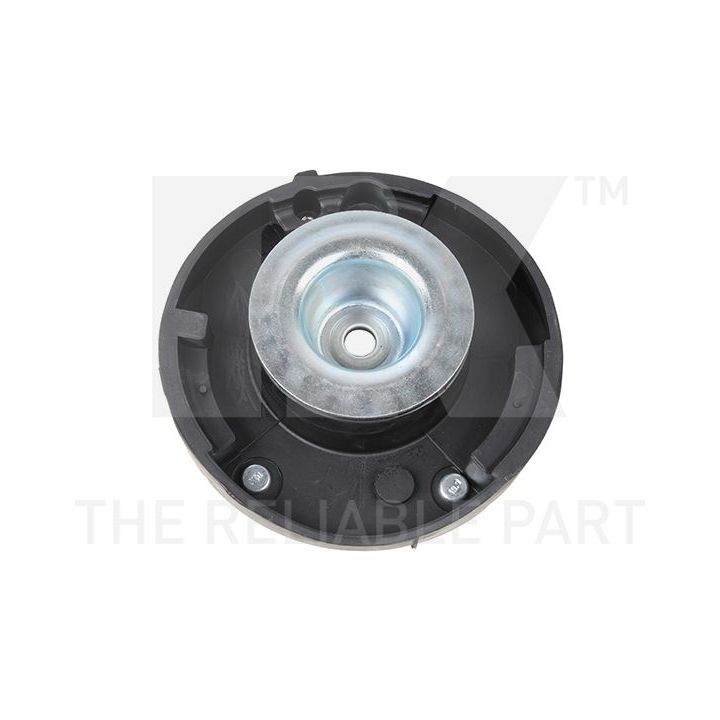 Pakabos statramsčio atraminis guolis NK 673919