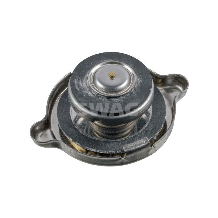 Dangtelis, radiatorius SWAG 10 99 0009