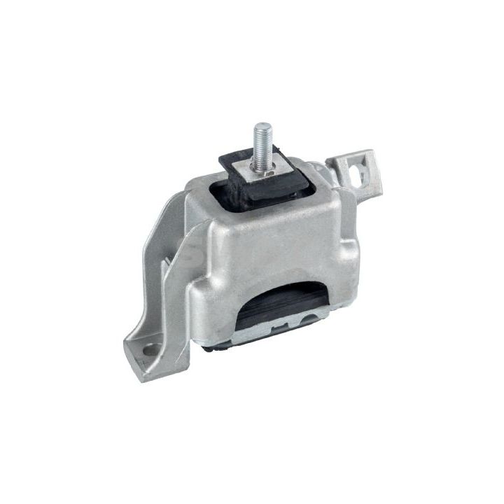 Variklio montavimas SWAG 11 93 1774