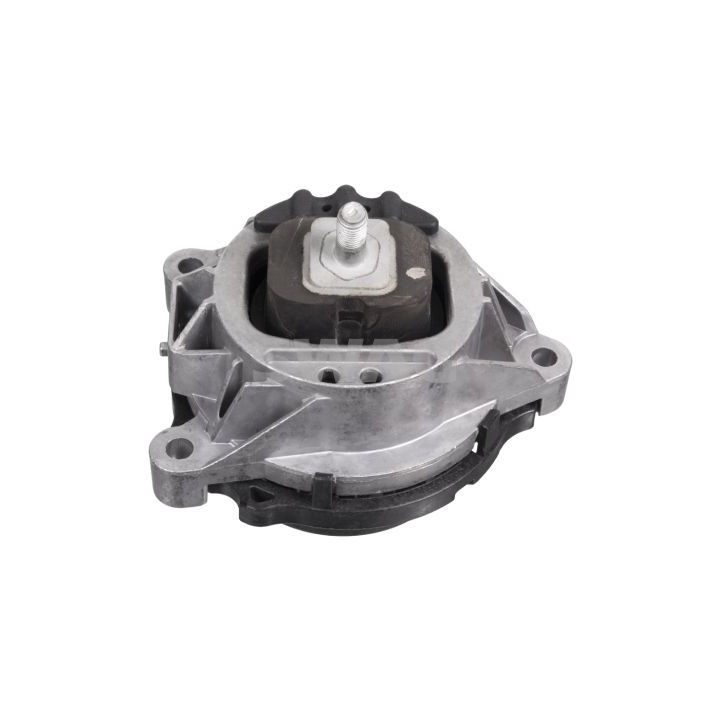 Variklio montavimas SWAG 20 10 3300