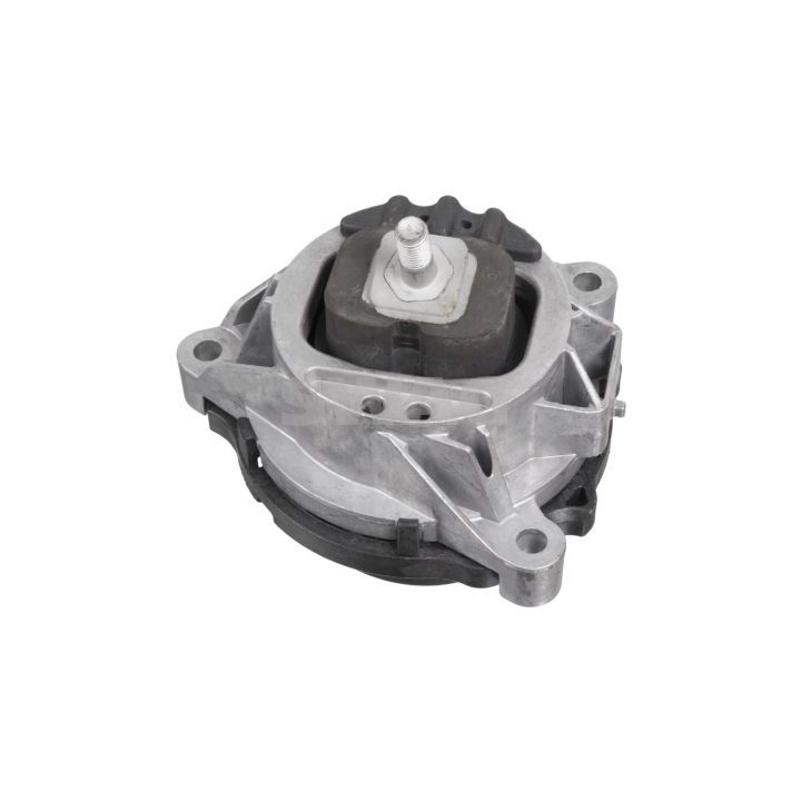 Variklio montavimas SWAG 20 10 3302