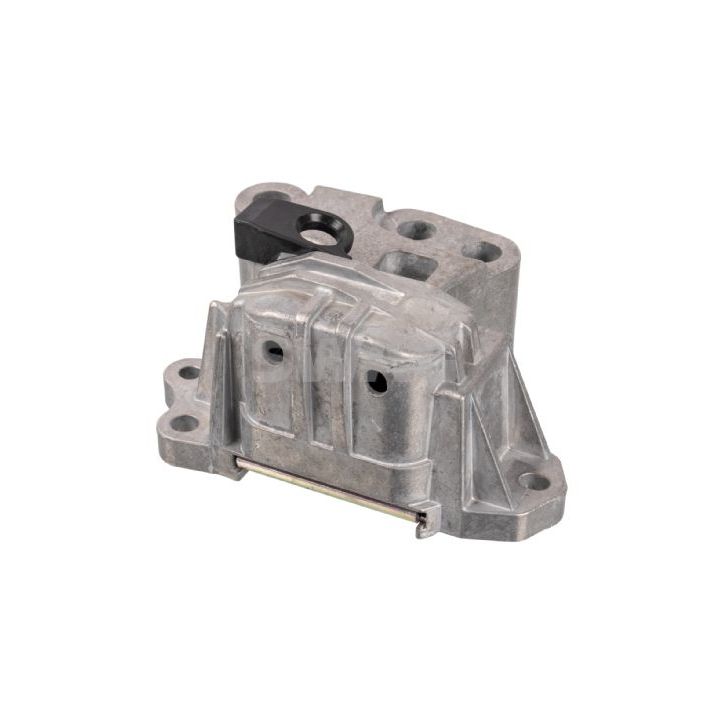 Variklio montavimas SWAG 33 10 0449