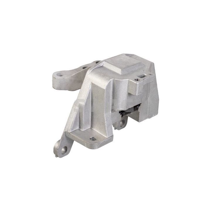 Variklio montavimas SWAG 33 10 7763