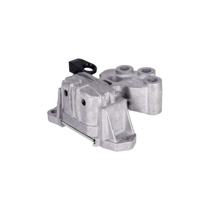 Variklio montavimas SWAG 33 10 8092