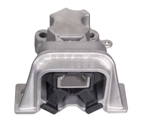 Variklio montavimas SWAG 60 10 2976