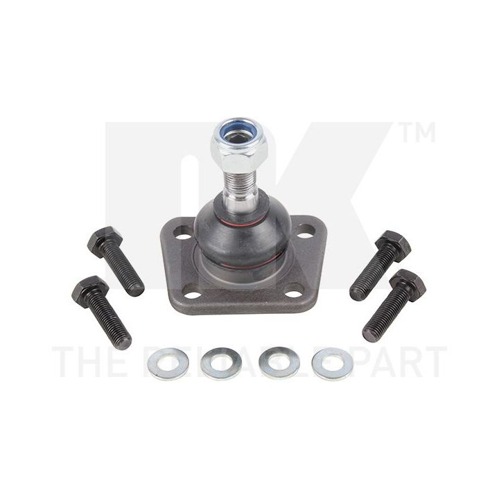 Šarnyras / girgždukas NK 5042309